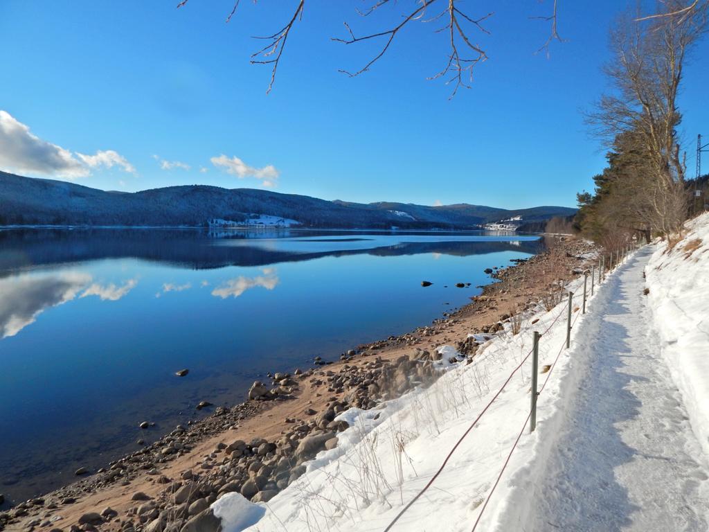 Hochschwarzwald-Hof Schluchsee Exterior foto